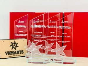 Kỷ niệm chương in logo Đoàn 