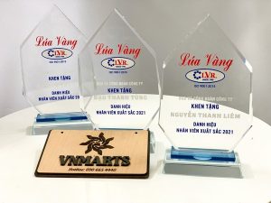 Kỷ niệm chương in logo Đoàn 